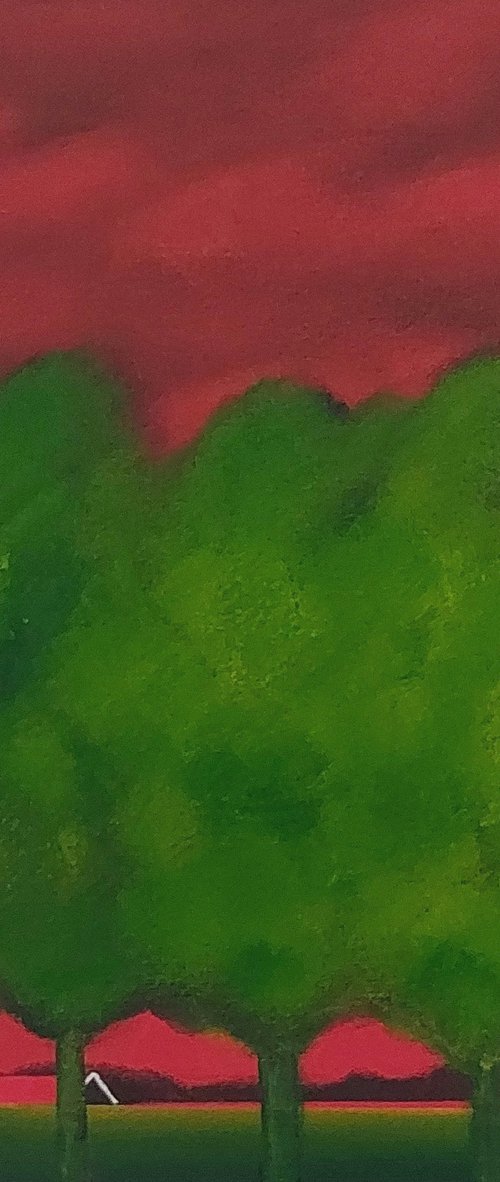 My polder, my garden by Nelly van Nieuwenhuijzen