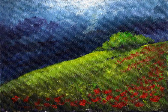 Rain clouds over the fields - Miniature