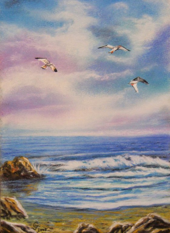 "Three seagull"