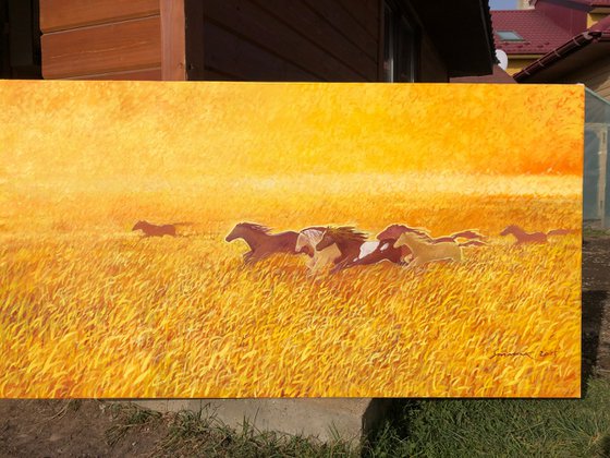 Horses chasing the sun