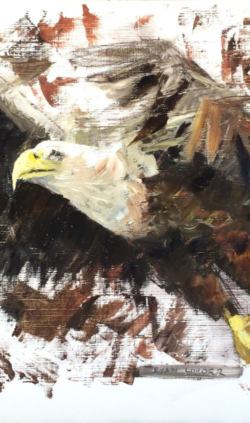 Eagle by Ryan  Louder