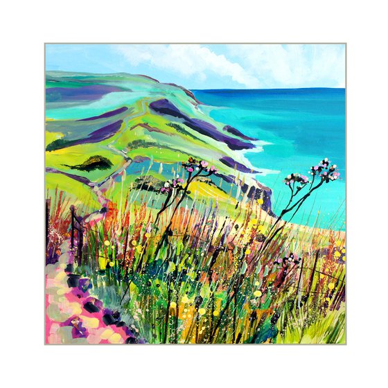 Bolberry Down - Path to Soar Mill Cove