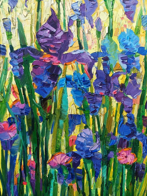 Light on the irises