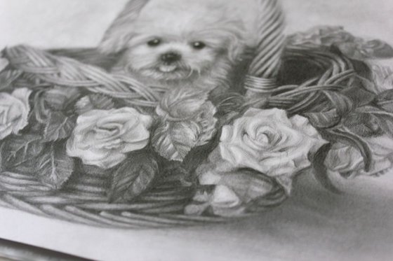 Puppy in a Flower Basket