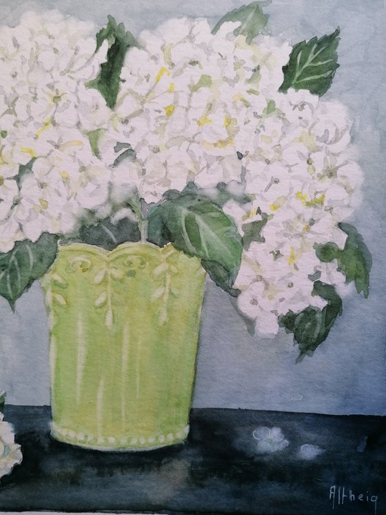 Hortensia au vase vert