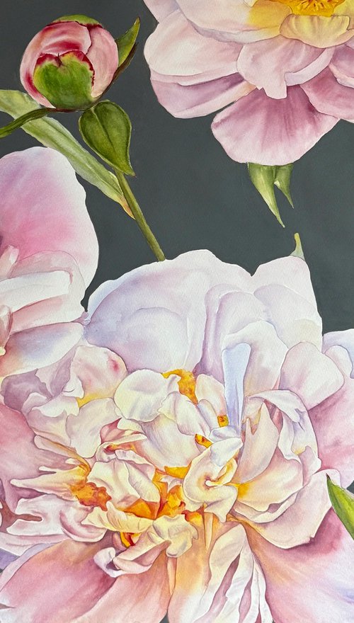 Inner Gardens by Anna Lyashenko