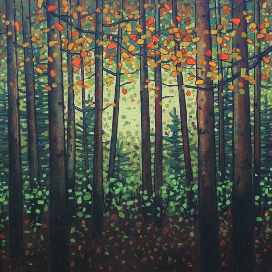 Autumn Woodland