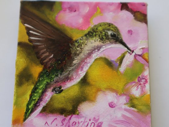 Hummingbird