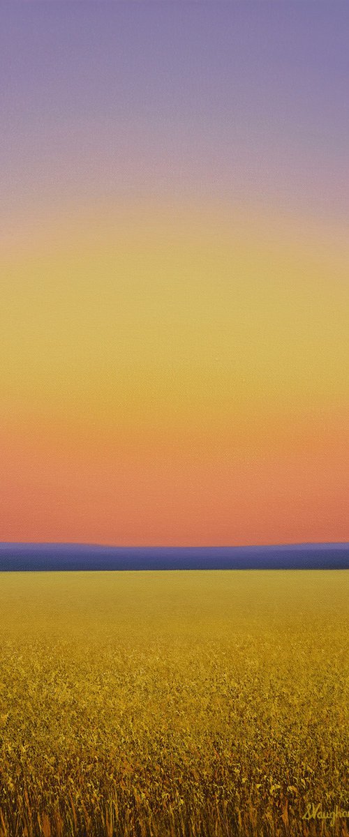 Golden Hour - Wheat Field by Suzanne Vaughan