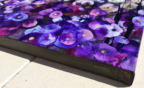 Dreaming in Violet