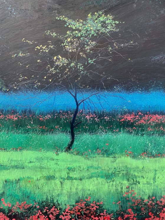 Spring Blossoms