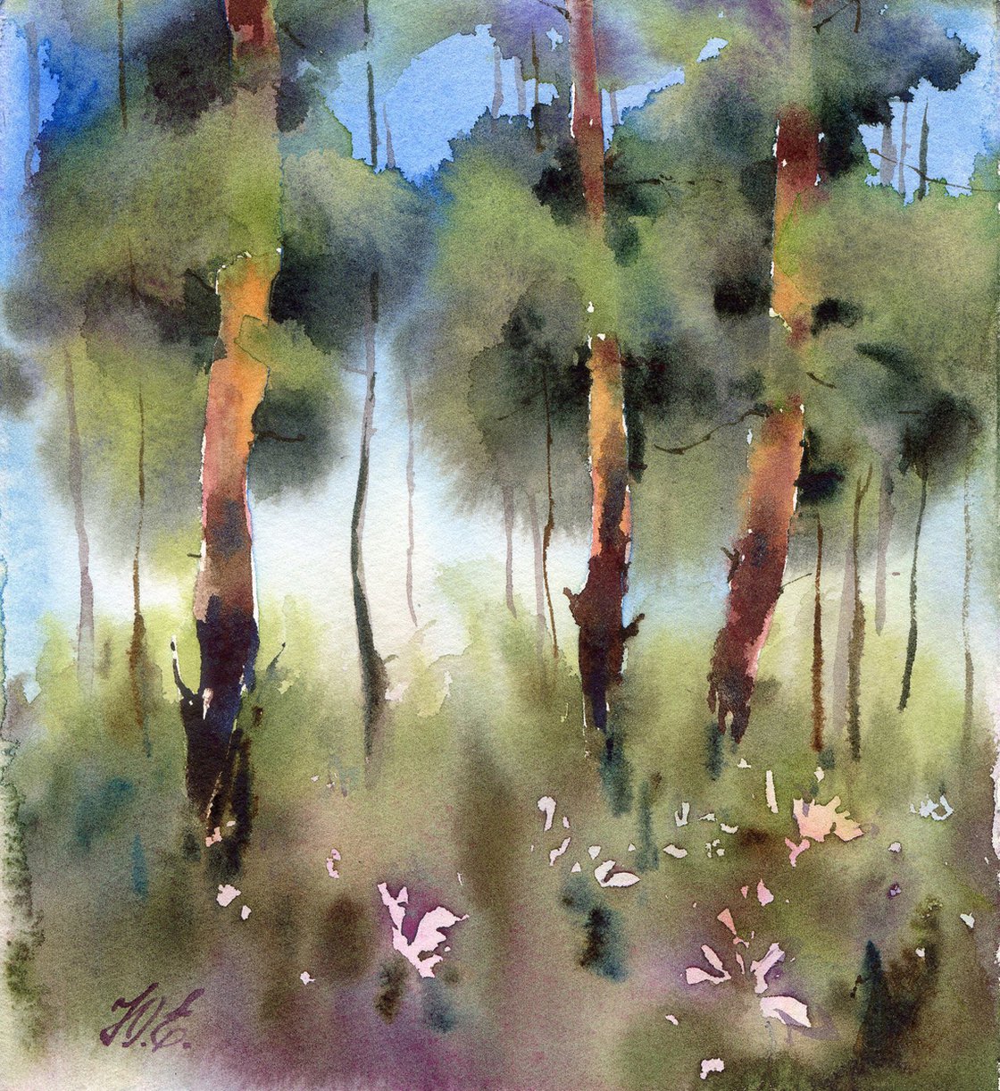 Mini Watercolor Journal — The Indian Oaks