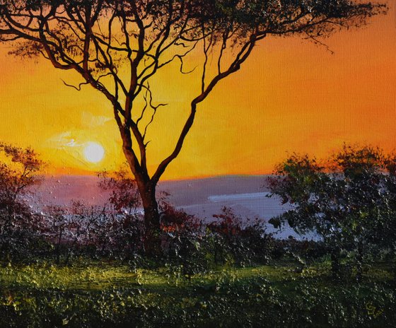 " Africa - Acacia tree " Special Price !!!
