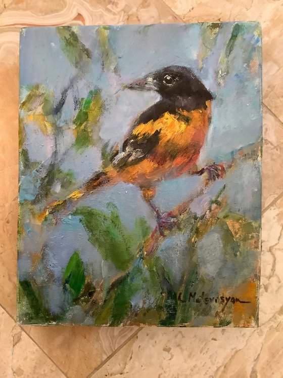 Oriole