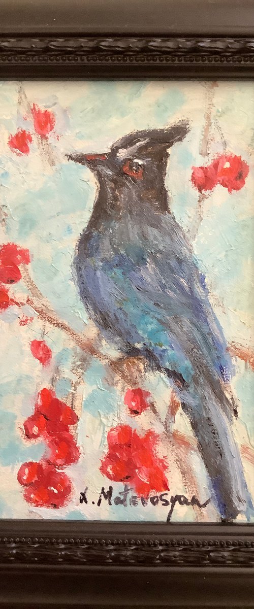 Blue Jay by Lia Matevosyan Haselton