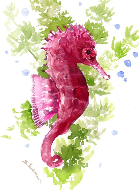 Pink Purple Seahorse