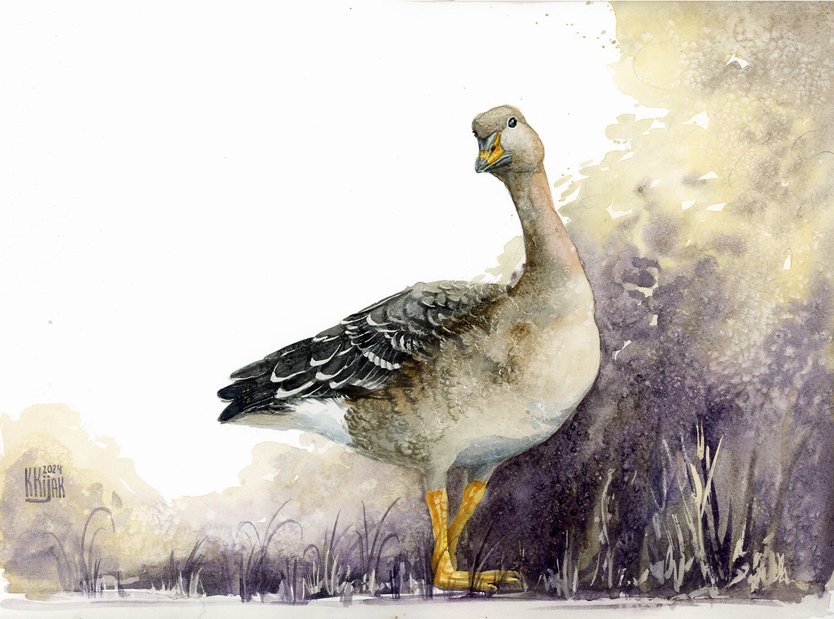 Animal Watercolour By Karolina Kijak, 16 X 12", Bean Goose, Original Artwork