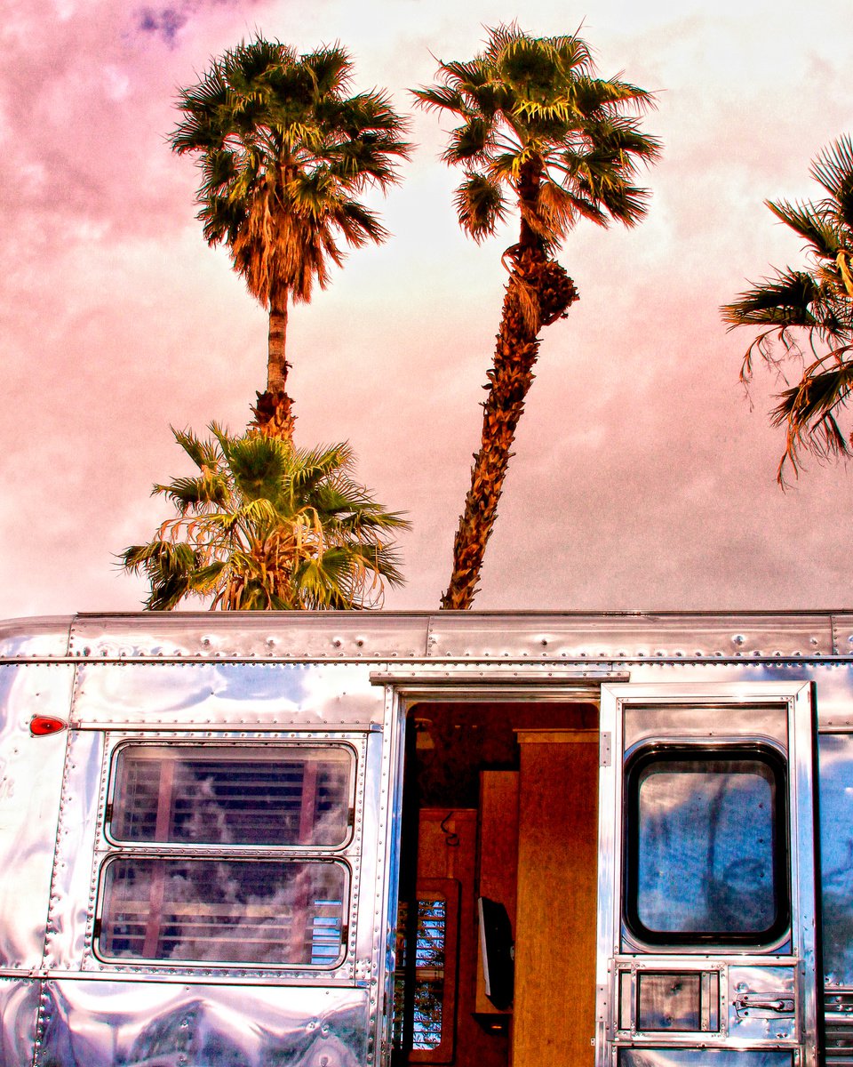 BREEZY DAY Palm Springs CA by William Dey