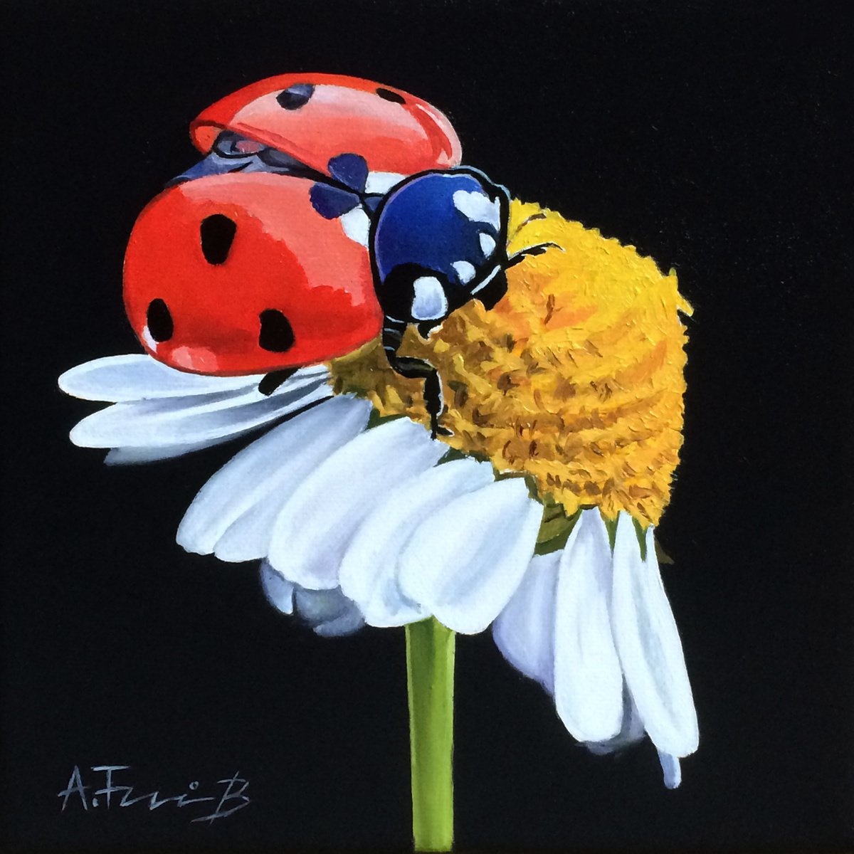 Ladybug on a Flower by Alexander Titorenkov