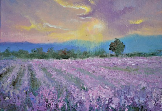 Evening lavender scent