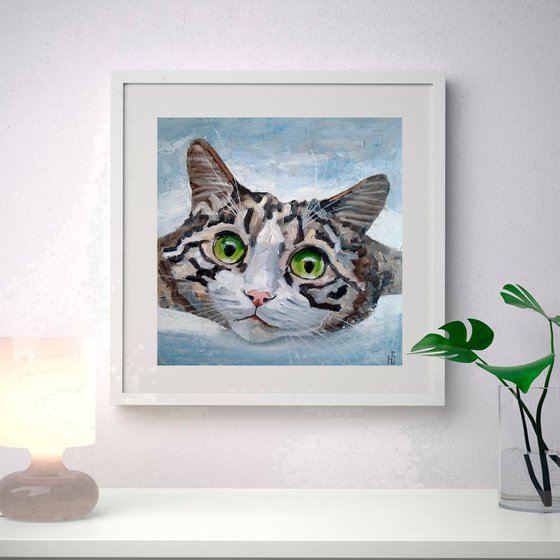 Tabby Cat