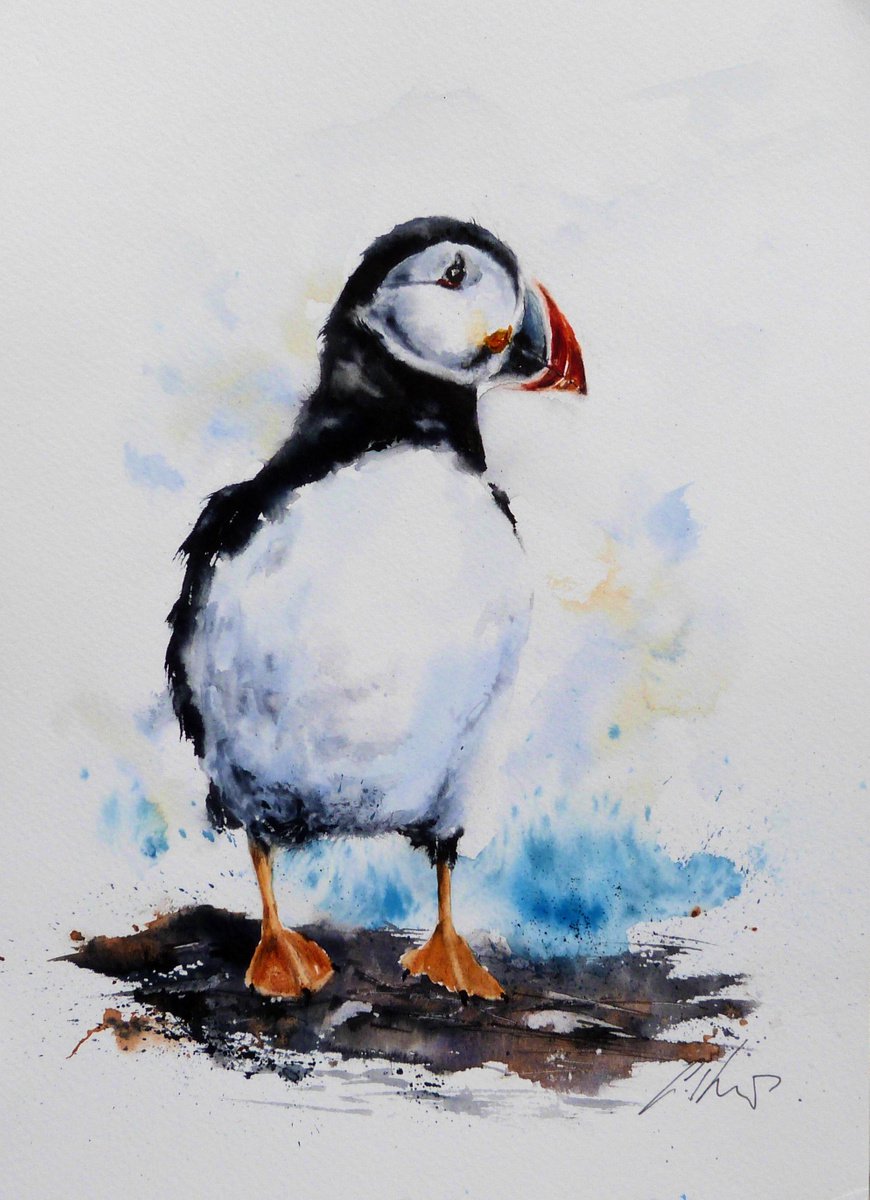 A Puffin. by Graham Kemp