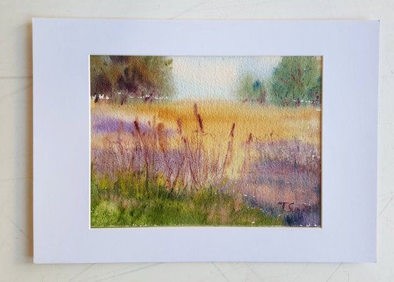 The summer field near Cuckoo Line, England