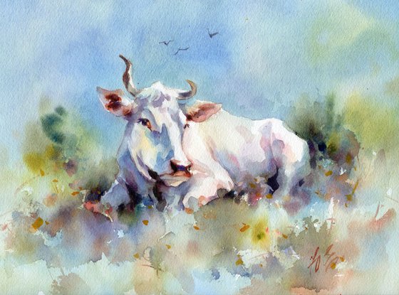 White cow