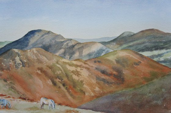 Long Mynd Hills