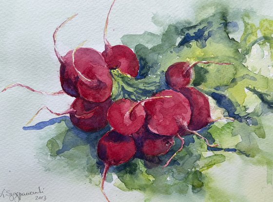 Radishes