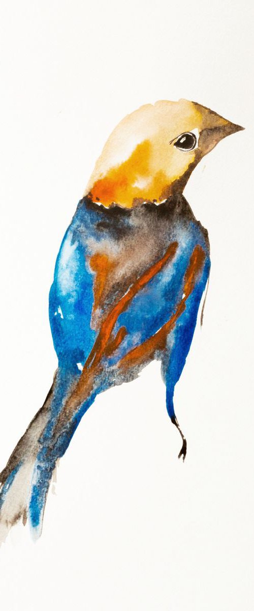 Bird by Nadia Moniatis