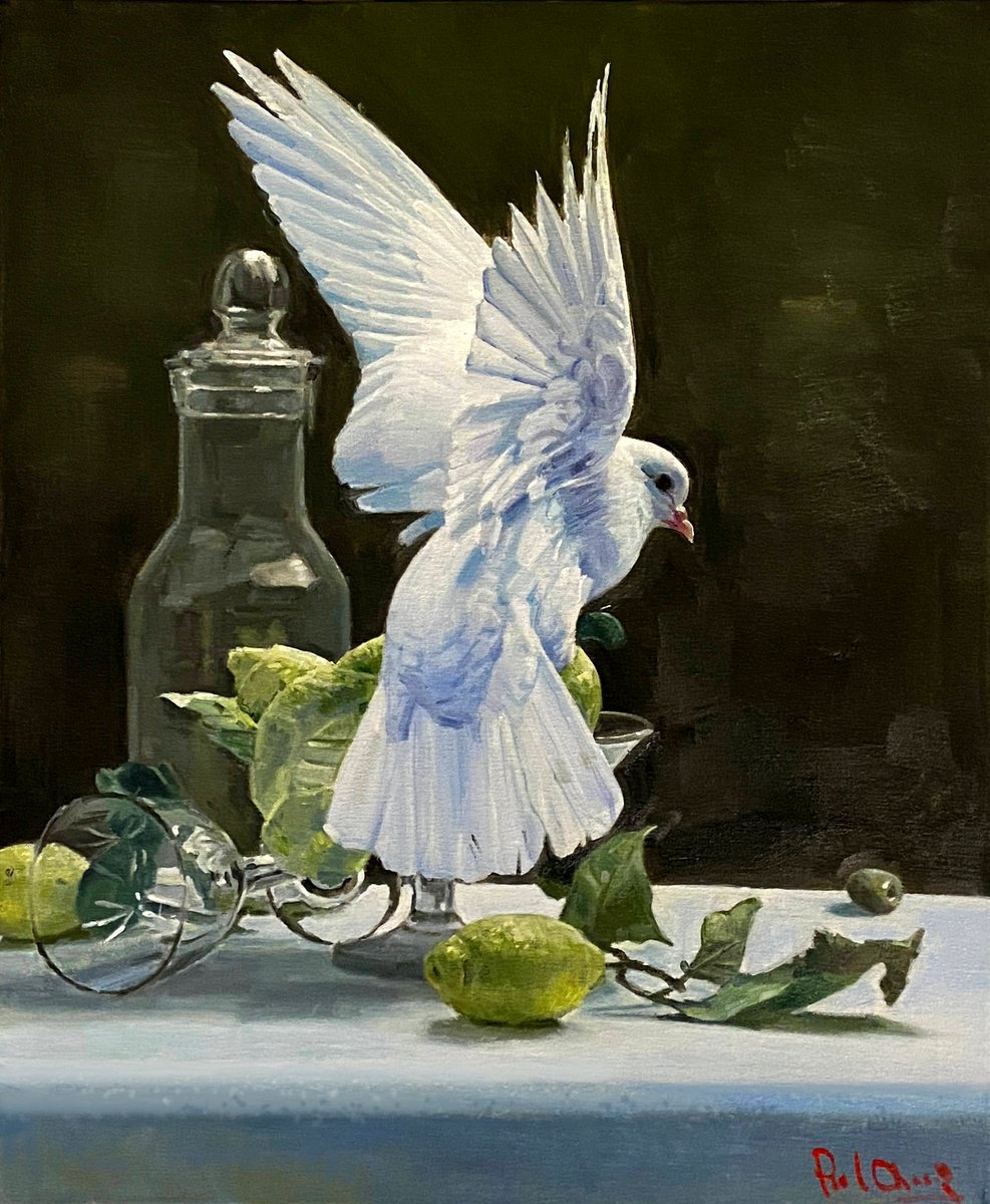 Pigeon and Still Life by Paul Cheng