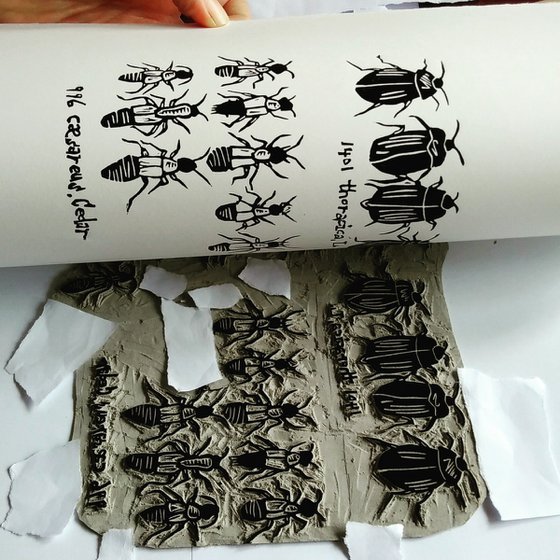 Beetles i - lino cut print