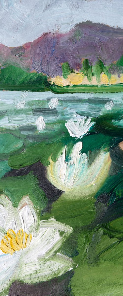 Waterlilies, Blea Tarn by Elizabeth Anne Fox