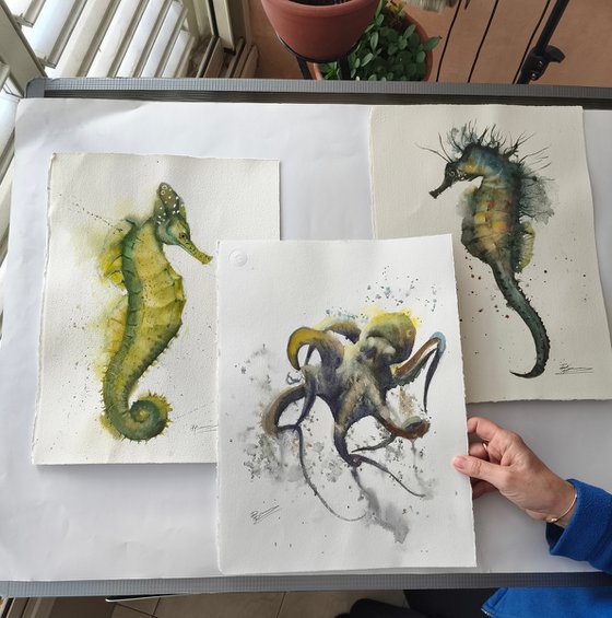 Ocean Creatures - Triptych