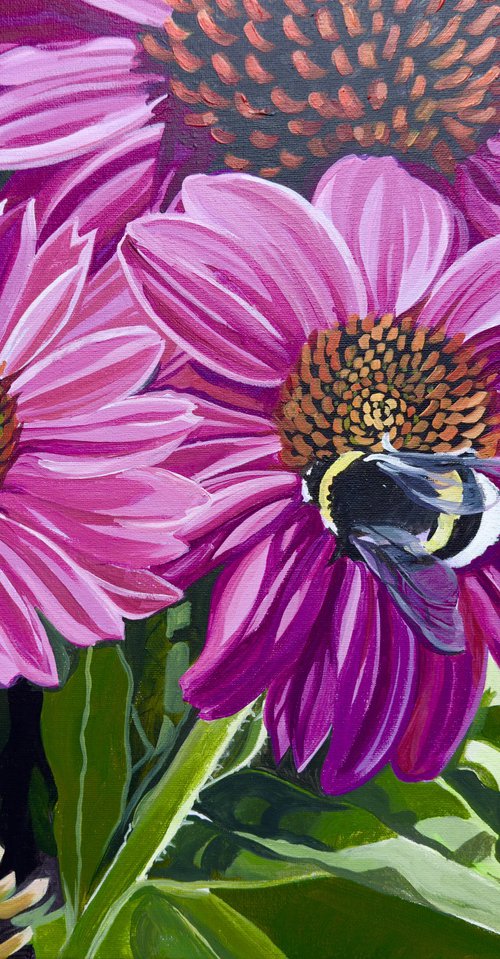 Echinacea And Bumble Bee by Joseph Lynch