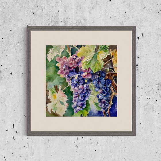 Vivid Grapes