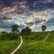 Two ways. by Valerix