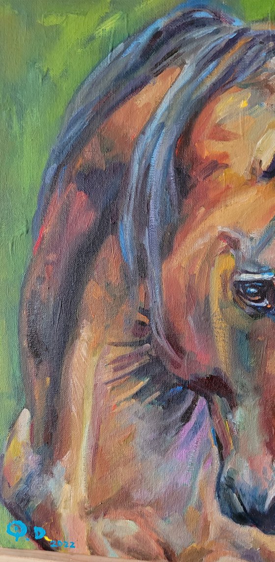 Amber, Expressive Horse Original Oil Painting, Contemporary