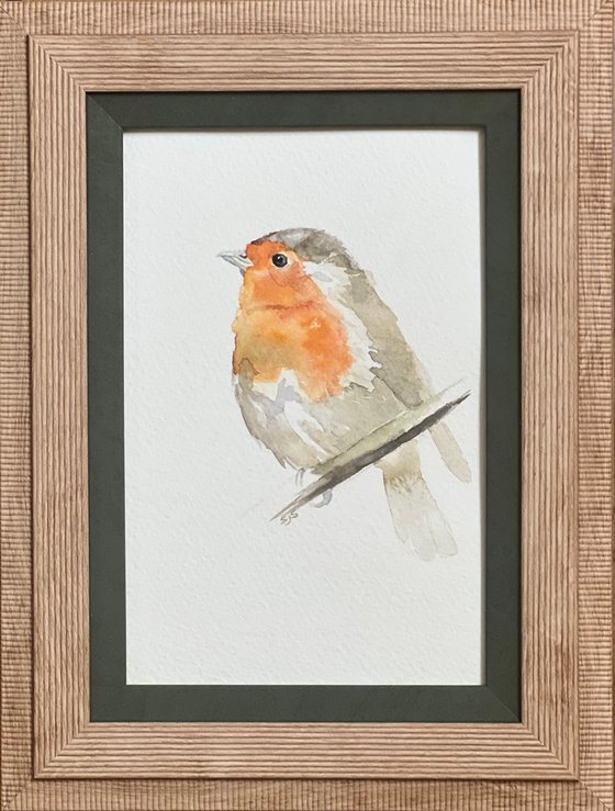 Little Robin Redbreast
