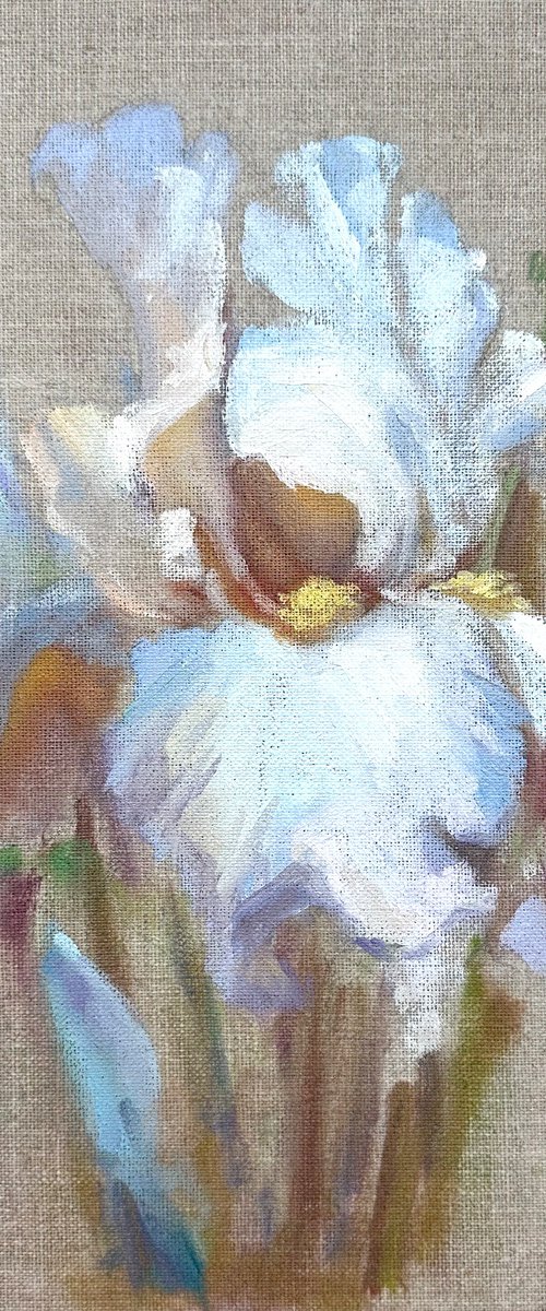 White  iris on raw canvas by Anna Bogushevskaya