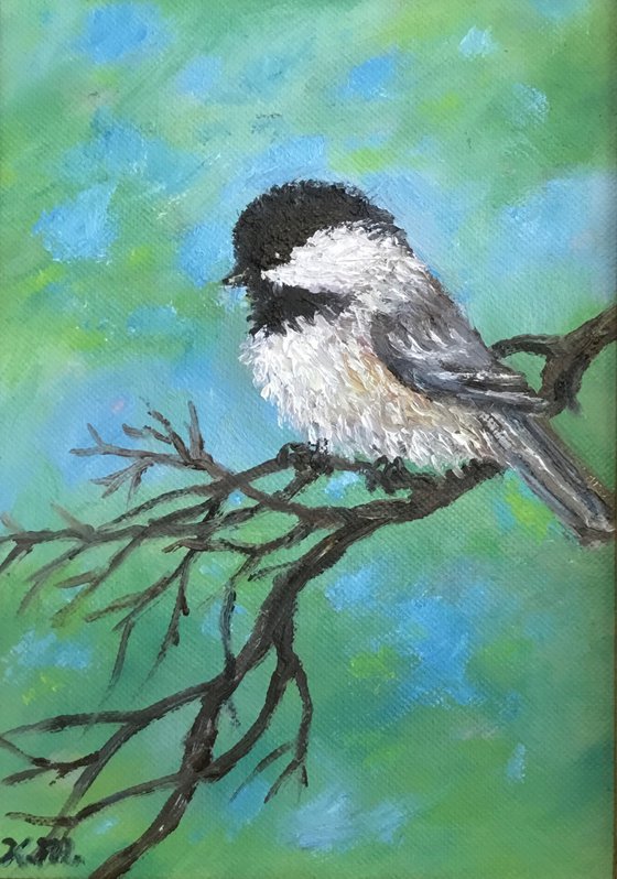 Chickadee # 27 - oil 6X4 inches