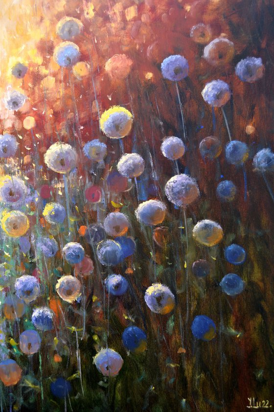 Dandelions at sunrise