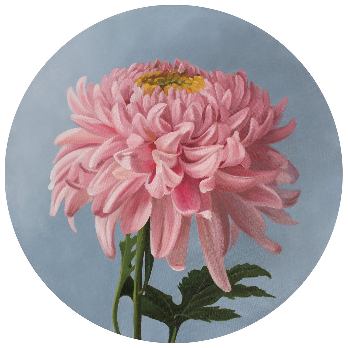 Chrysanthemum in pink by Natalia Zhukova