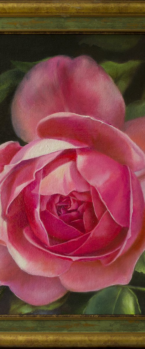 "Margo"  rose flower pink  realism liGHt original painting   GIFT (2018) by Anna Bessonova (Kotelnik)