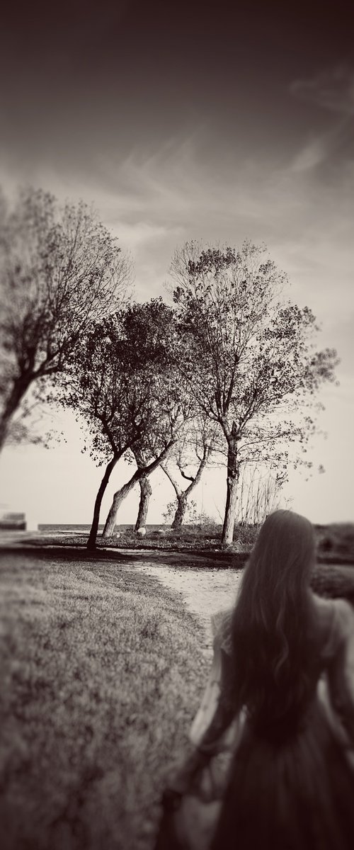 The road Sepia version by Carmelita Iezzi