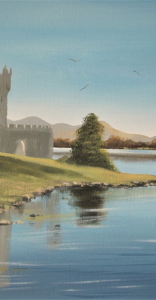 ross castle  ireland by cathal o malley