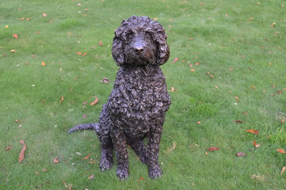 Harry Labradoodle sculpture