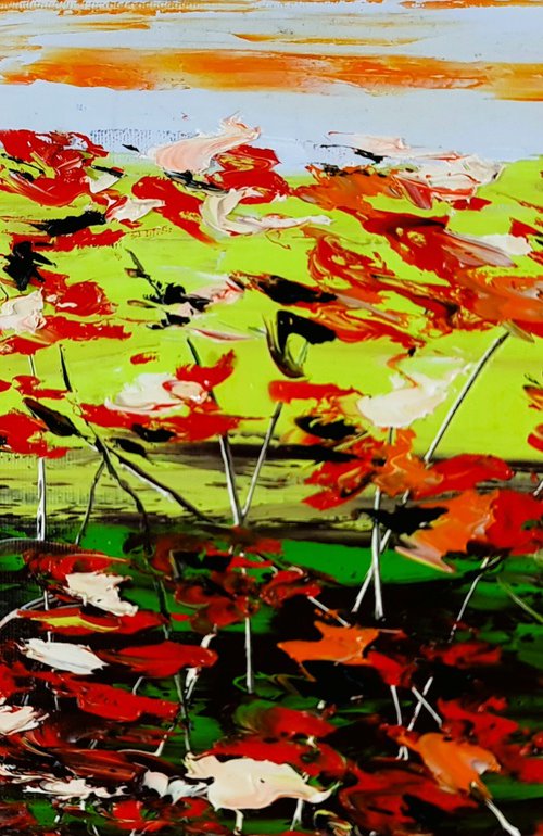 A Meadow Full Of Poppies 1 by Daniel Urbaník