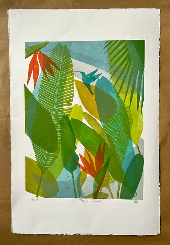 Tropical Shapes